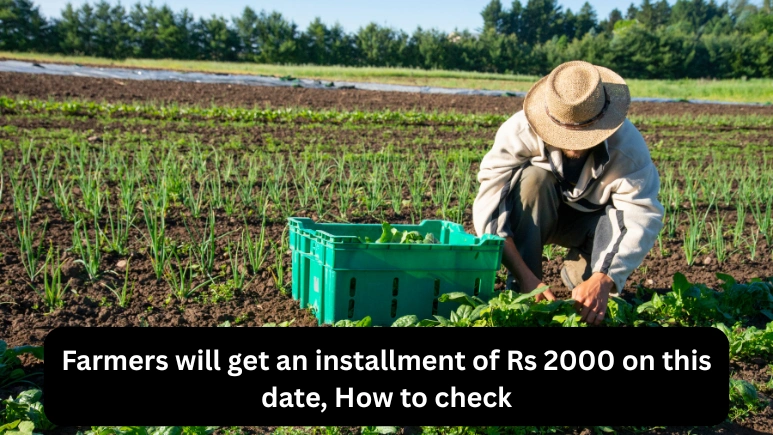 Farmers will get an installment of Rs 2000 on this date, How to check